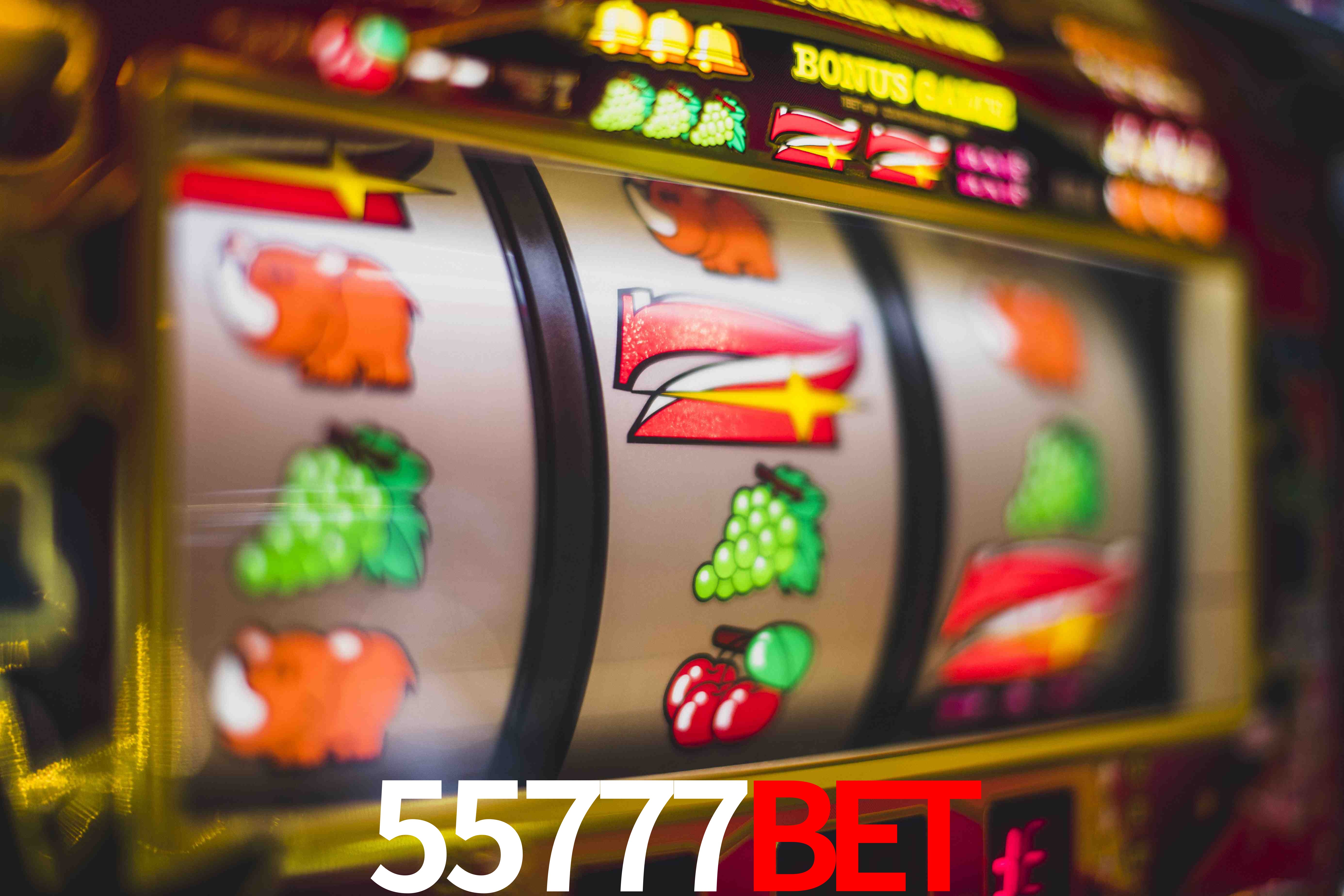 Football Betting 55777bet